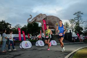 BIB: 
                            <button type="button" onclick="openModal(26529455)" class="btn btn-primary btn-sm float-right btn-popup" data-toggle="modal" data-target=".modal-high-quality">
                        <i class="fas fa-shopping-cart"></i> Add to Cart
                    </button>
                                            <button type="button" onclick="isThisMe(26529455, true)" class="btn btn-success btn-sm float-right btn-popup btn-isme hidden" data-toggle="tooltip" data-placement="bottom" title="นี่คือรูปของคุณใช่ไหม คลิกที่นี่เพื่อเอาเข้าอัลบั้ม">
                        <i class="fas fa-plus"></i> Add to album
                    </button>
                    <button type="button" onclick="isThisMe(26529455, false)" class="btn btn-warning btn-sm float-right btn-popup btn-isnotme hidden">
                        <i class="fas fa-ban"></i> Remove from album
                    </button>